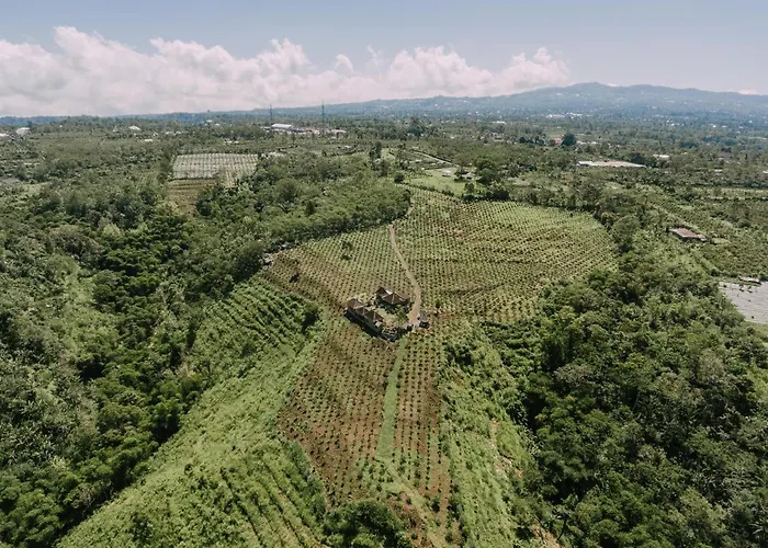 Bukit Lalang Agricultures * Bangli