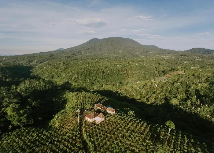 Bukit Lalang Agricultures * Bangli